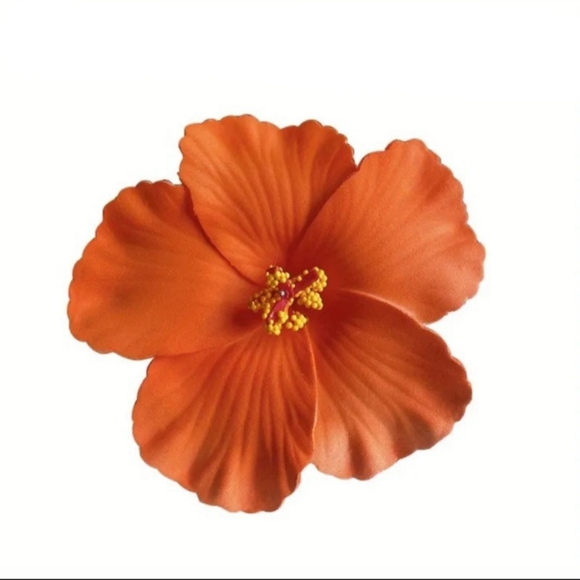 Accessories - Women Orange Tropical Flower Foam Hair Clip